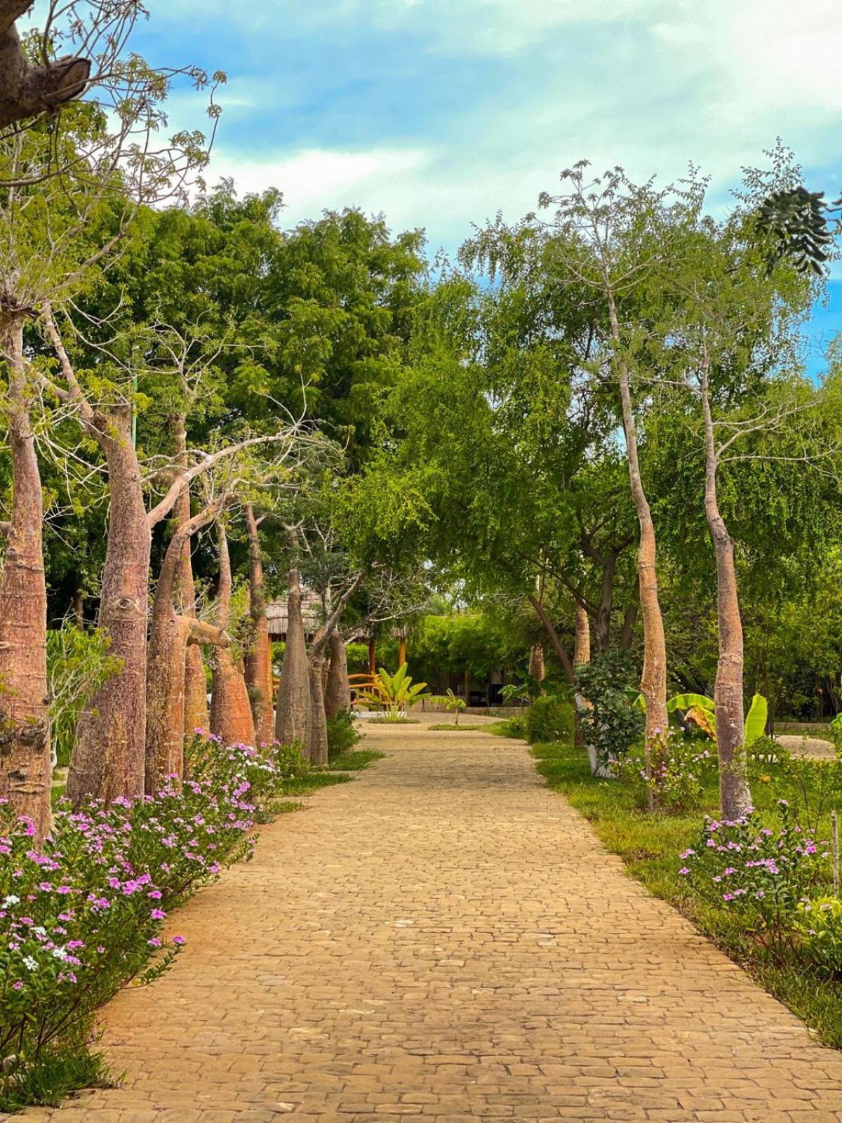 Vovo Telo Lodge Толиара Екстериор снимка