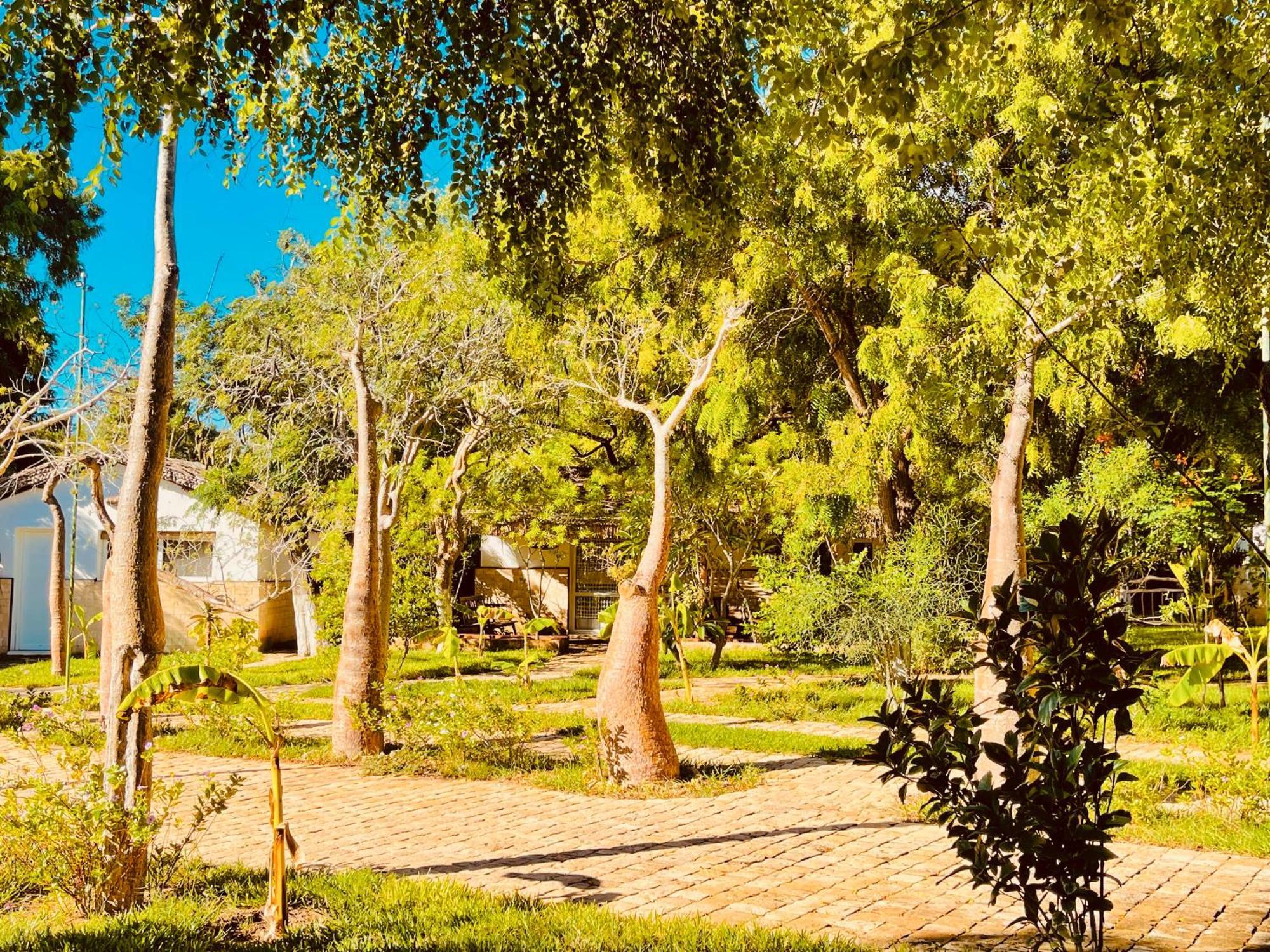 Vovo Telo Lodge Толиара Екстериор снимка